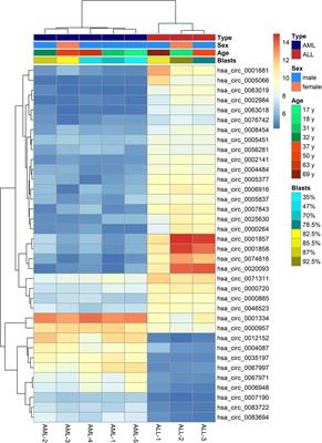 Hsa_circ_0012152 and Hsa_circ_0001857 Accurately Discriminate Acute Lymphoblastic Leukemia From Acute Myeloid Leukemia